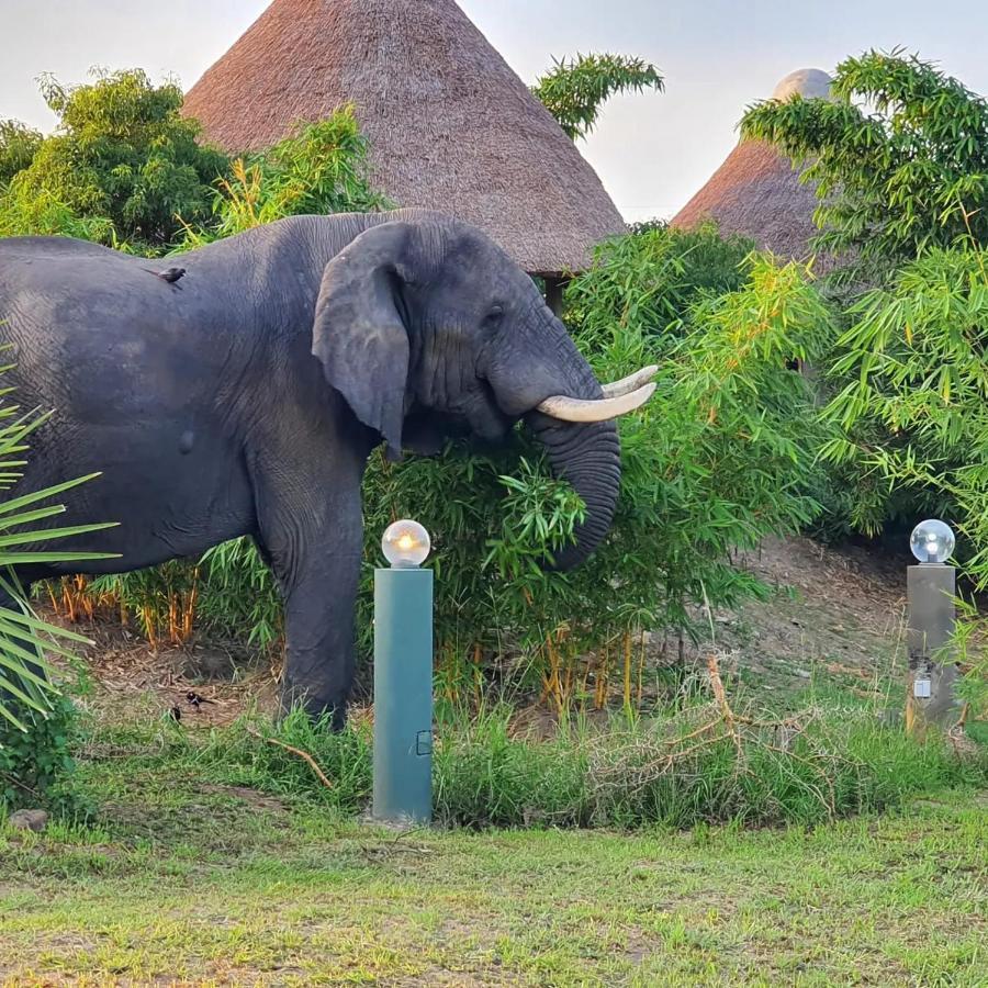 Tilenga Safari Lodge Arua Dış mekan fotoğraf